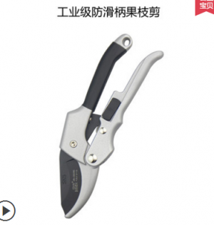 京选果枝剪园艺园林剪树枝剪刀 修枝剪粗枝剪果树剪修花剪刀